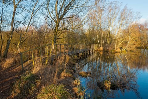 Bridge in the evening light, De Deelen, landscape conservation area, nature reserve, Luinjeberd,