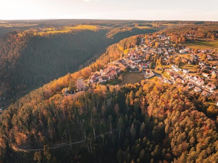 Panoramic view of a village with surrounding autumnal forest on rolling hills, Zavelstein, Black