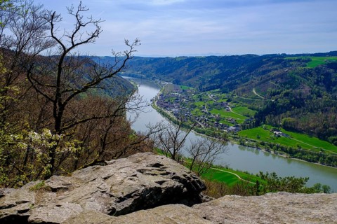 Ebenstein Chapel viewpoint, view of the Danube and Engelhardtszell Monastery, Donauleite, Passauer