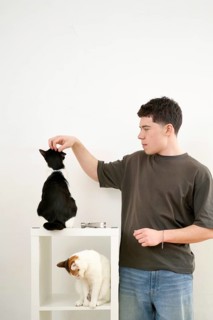 A young man engages playfully with two cats, a black and a white one, while assembling a white