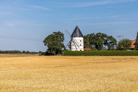 Schänitz windmill, Hirschstein, Saxony, Germany