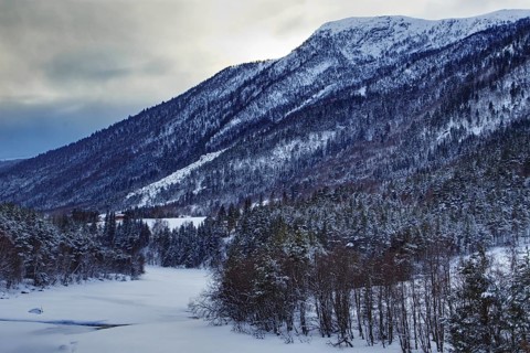 Snowy mountain with dense forests under a cloudy sky, Korsvoll, Norway