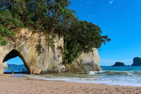 Sandy beach beach with rock arch and surrounding trees, view of the sea, Cathedral Cove, Hahei,