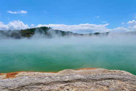 A steaming lake under a clear sky surrounded by forest, Champagne Pool thermal lake, Wai-O-Tapu