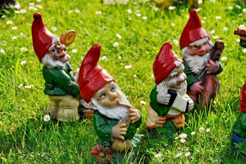 Garden gnomes as musicians in a band in a front garden on a flower meadow with daisies in spring,