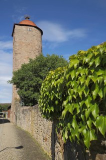 Historic monk tower and city wall with ivy and plant growth, Hammelburg, Lower Franconia,