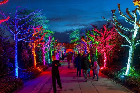 Parkleuchten, event in winter, in the Grugapark in Essen, many different light installations,