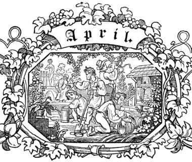 Month of April, preparations in the garden, watering and caring for flowers, digging up the soil,
