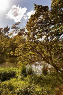 Botanical Garden, next to Nymphenburg Palace Park, 2024 110th anniversary, Munich, Bavaria