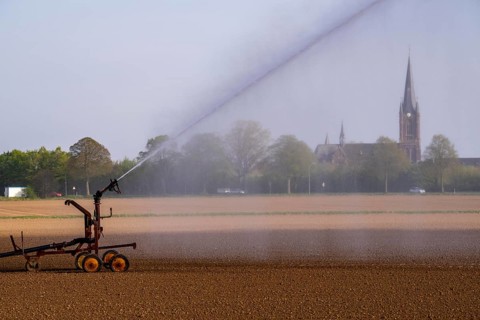 Artificial irrigation of a field, freshly sown, in April, with a sprinkler system, long drought in
