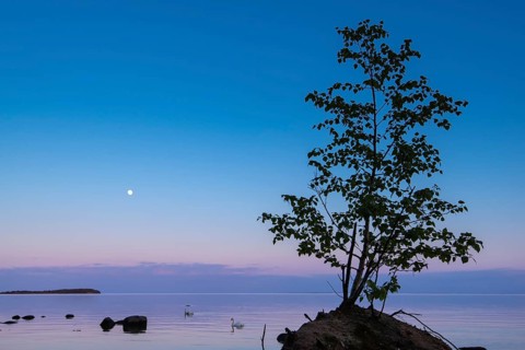 Moonrise on the lagoon on Rügen, Rügen, Glowitz, Mecklenburg-Western Pomerania, Germany
