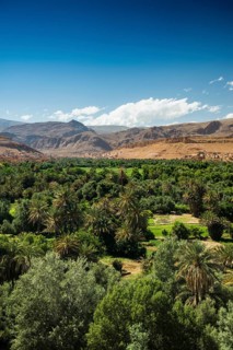 Oasis and city, Tinghir, Drâa-Tafilalet region, Atlas Mountains, Morocco