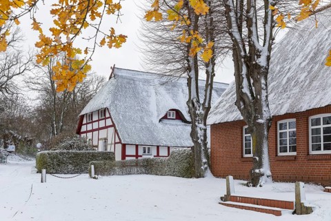 Snow-covered thatched house in Wohlenberg, Klütz, Mecklenburg-Vorpommern, Germany