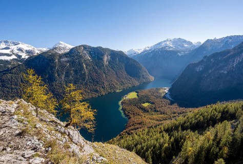 View of the Königssee from the Rinnkendlsteig mountain hiking trail, autumnal forest and yellow