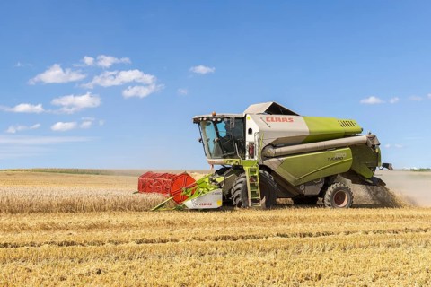 Combine harvester harvesting grain, harvesting wheat, Baden-Württemberg, Germany