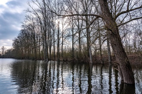 The Bislicher Insel, nature reserve on the Rhine, Altrheinarm, near Xanten, Lower Rhine, Wesel