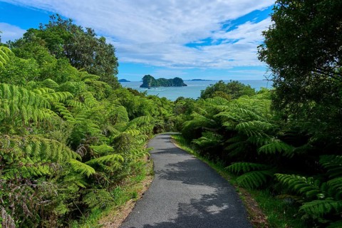 A path leads through dense vegetation to a picturesque sea view and distant islands under an