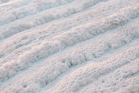 Close-up of the natural salt formations on the shores of the Dead Sea in Jordan, highlighting