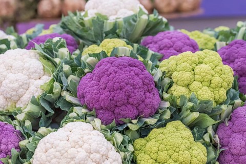Cauliflower (Brassica oleracea va. botrytis),  Germany