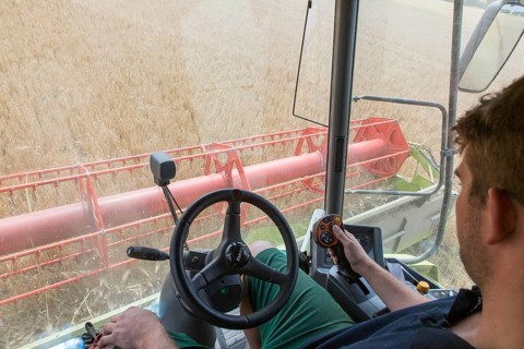 Nauen, 07.07.14, JE, driver of a combine harvester, view of cornfields from the cockpit