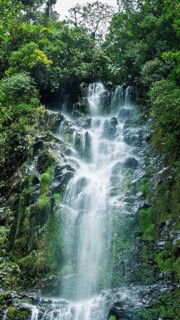 A breathtaking waterfall with vibrant, cascading waters over jagged rocks surrounded by lush