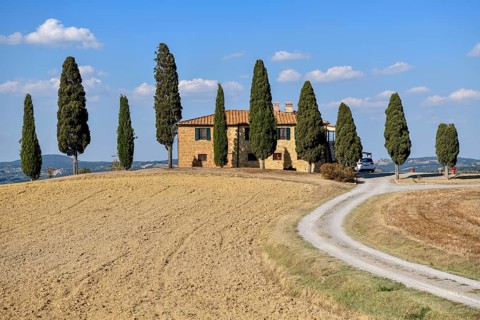 Cypresses in front of a country house, near Pienza, Val d'Orcia, Orcia Valley, Tuscany, Italy
