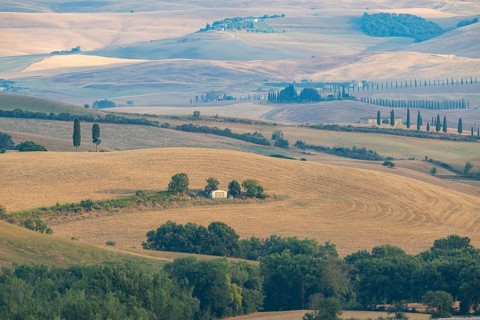 Typical Tuscan landscape in Val d'Orcia with hills, trees, fields, farmhouses and cypresses in