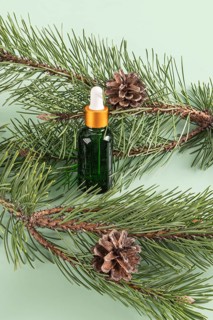 Top view of a green glass dropper bottle of essential oil nestled among fresh pine branches and