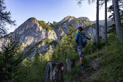 Hiker on the way to the Rinnkogel, Postalm, Osterhorn group, Salzkammergut, Salzburg province,