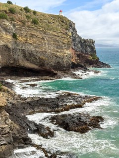 Taiaroa Head Lighthouse at the Royal Albatross Centre, Taioroa Head, Otago, South Island, New