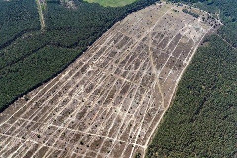 Former military training area Lübtheen, military training area, aerial photograph, aerial view,