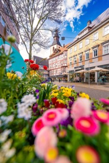 Colourful flowers in the foreground of a shopping street with historic buildings, Nagold, Calw