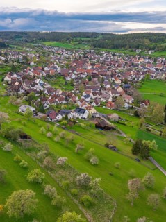 Many fruit trees on green meadows lie in front of a picturesque village, Ostelsheim, district of
