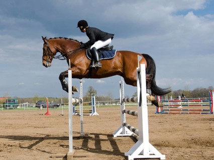 Horse show jumping equestrian competition in Jaroszowka, Poland