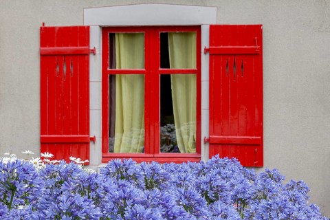 Window with red shutters, in front of it decorative lilies (Agapanthus), Ile de Brehat, Brittany,