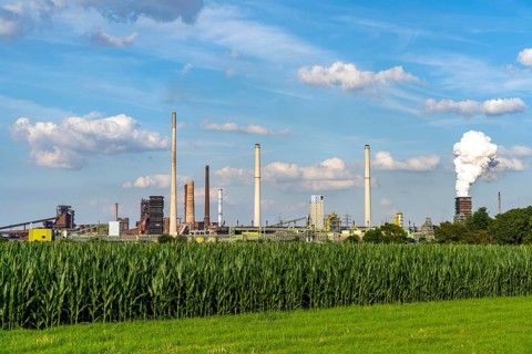 Fields in the Orsoyer Rheinbogen, left bank of the Rhine, in the background the ThyssenKrupp Steel