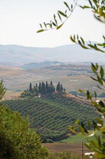 The Belvedere at dawn, San Quirico d'Orcia, Val d'Orcia, Orcia Valley, UNESCO World Heritage Site,