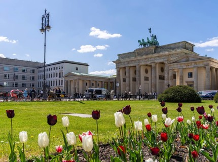 Landmark and tourist attraction, Brandenburg Gate with tulip blossom on Pariser Platz, Berlin,