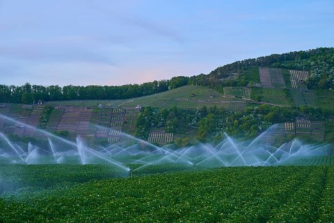 Irrigation systems spray water over green fields with hills in the background, Karlburg, Karlstadt,