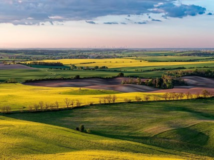 Spring landscape with blooming rapeseed fields in the Uckermark in the evening light. aerial view.