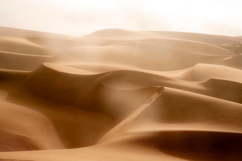 Sand dunes, sea of dunes, sandy desert, impressive desert landscape, Namib Naukluft Park, Namib