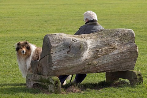 Bench made from a tree trunk, man, dog collie, The Naze Nature Reserve, Walton-on-the-Naze,