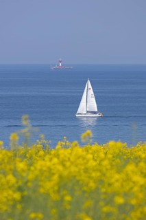 Sailing boat, rapeseed field, Baltic Sea, lighthouse Kiel pilot station, Altbülk, beaches,