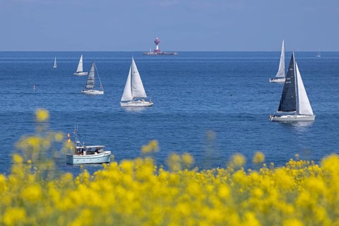 Sailboats, boats, rapeseed field, Baltic Sea, lighthouse Kiel pilot station, Altbülk, beaches,