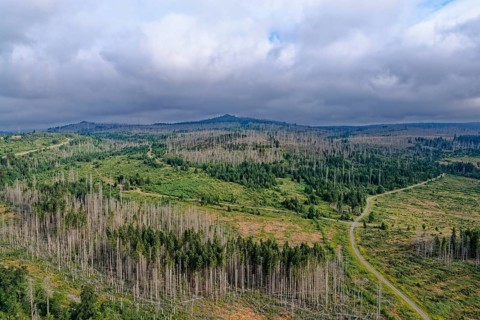 Landscape in the Harz National Park and the Brocken in the background. aerial view. Braunlage,