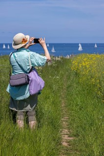 Woman taking pictures with smartphone, sailboats, rapeseed field, Baltic Sea, Altbülk, beaches,