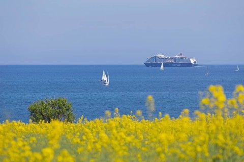 Color Line ferry, sailboats, rapeseed field, tree, Baltic Sea, Altbülk, beaches,
