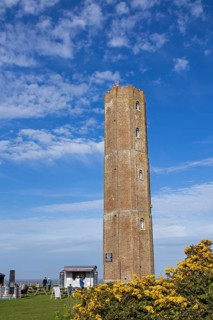 Gorse, Naze Tower, The Naze Nature Reserve, Walton-on-the-Naze, England, Great Britain