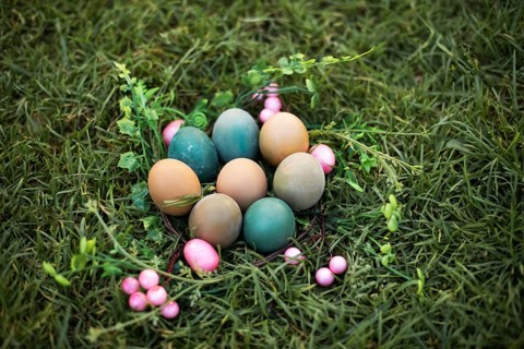 A collection of colorful Easter eggs nestled in a lush, green grassy adorned with pink berries and
