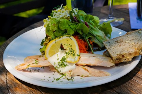 Swabian cuisine, smoked trout fillet from the Echaz valley, cold starter, horseradish, dill, slices